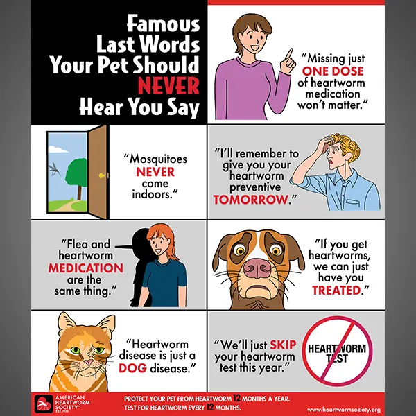 Famous last words your pets should never hear you say