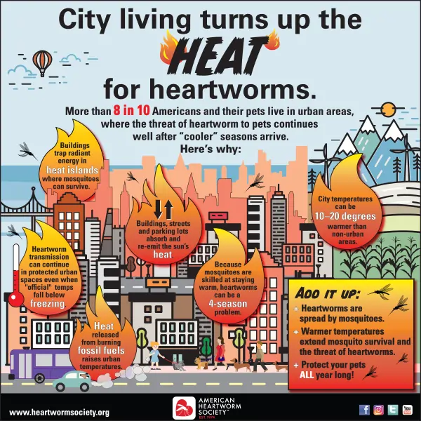 City living inforgraphic