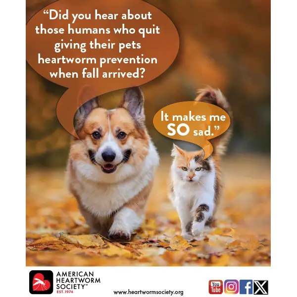 Don't quit giving heartworm prevention in the fall