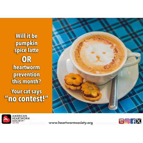 Heartworm prevention beats pumpkin spice lattes