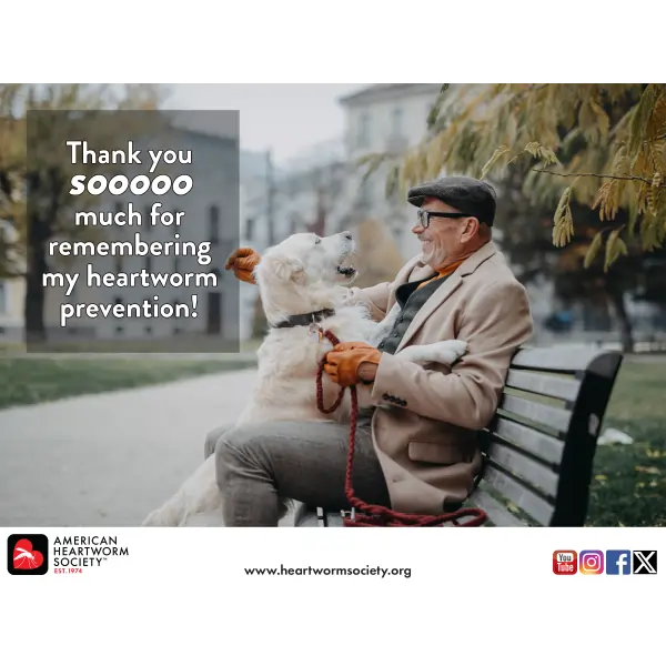 Smiling man on bench with happy dog