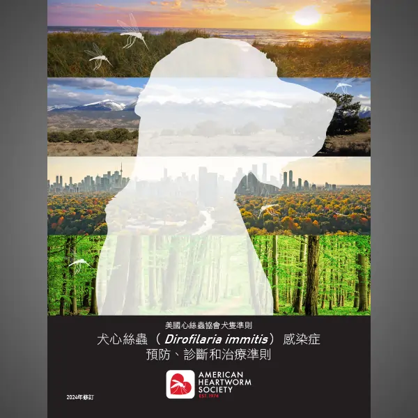 cover of Chinese guidelines with dog profile 